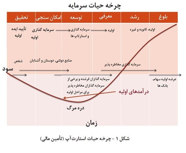 سرمایه گذاری خطرپذیر شرکتی